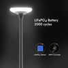 Pollis 360